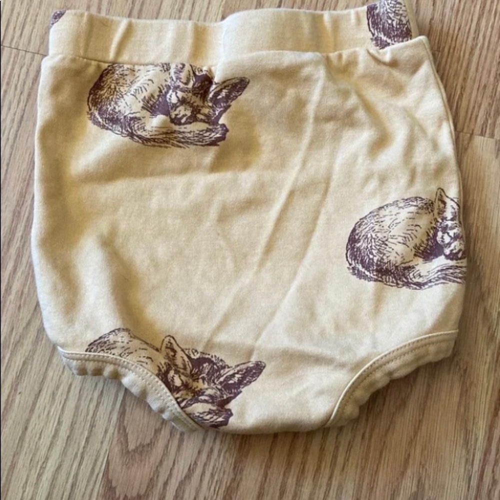 Kate Quinn sleeping fox bloomers